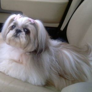 Meet your Posher, Thelaine